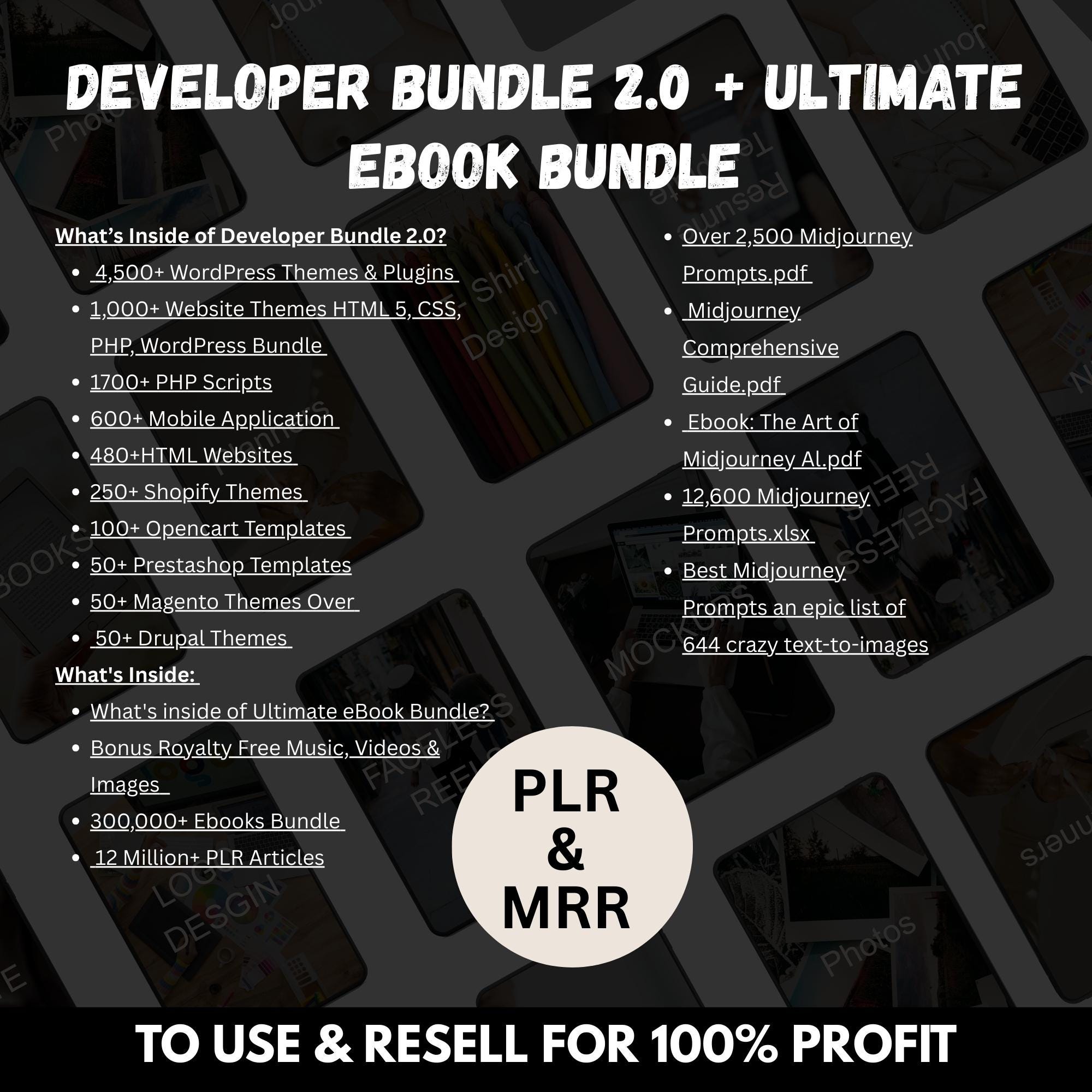 10M+ PLR MRR Digital Products Bundle: Resell & Profit - Image 10