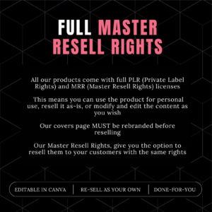 MRR Passive Income eBook Bundle, master resell rights, private label rights, plr ebook