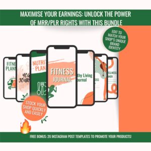 DFY Digital Products eBook Bundle PLR