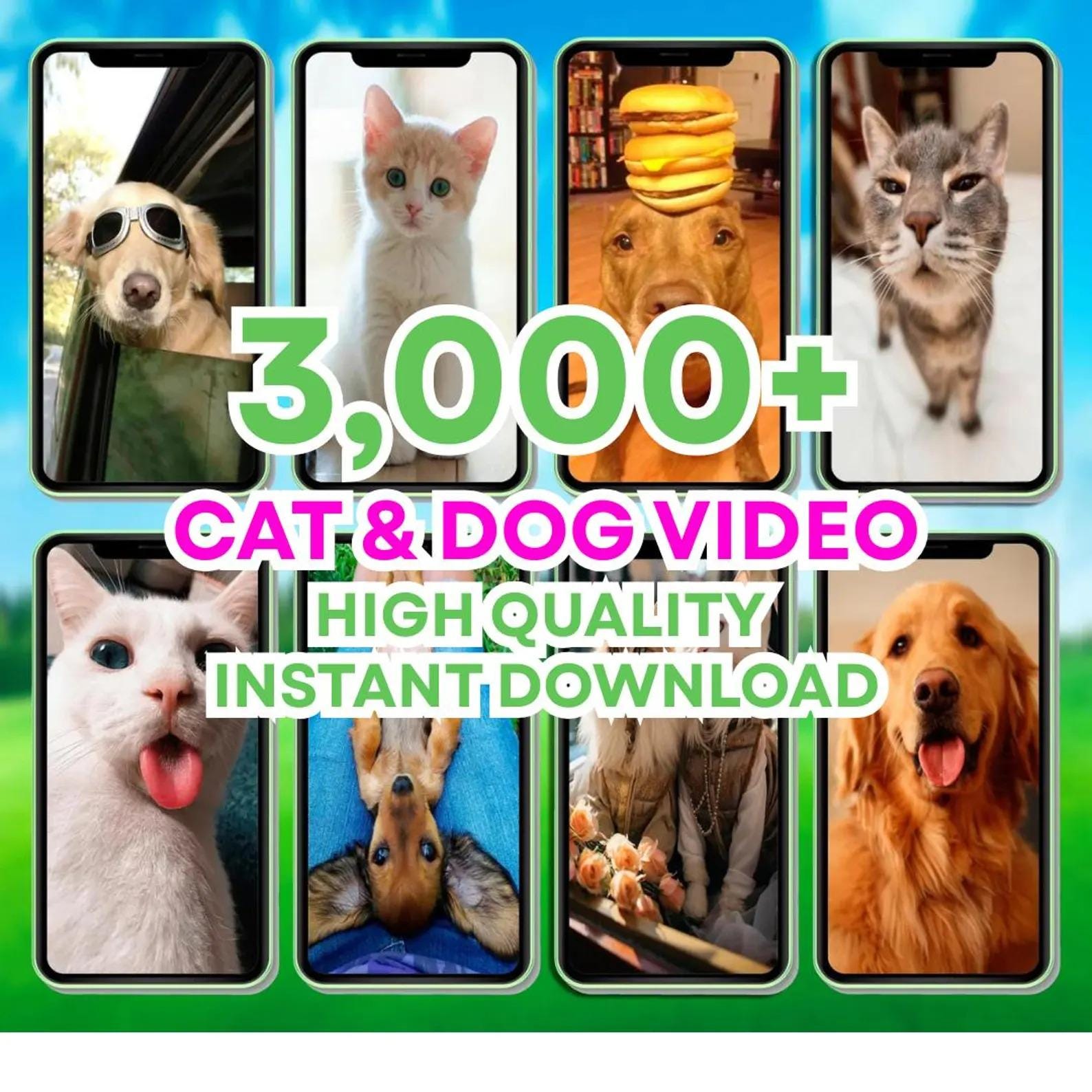 Viral Reels Bundle: 100K+ AI Animated Social Media Shorts (PDF) - Image 9