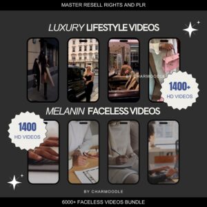 8000+ Faceless Reels Bundle | Luxury Aesthetic Faceless Videos for Instagram TikTok | Includes PLR & MRR Resell Rights DFY Digital Marketing